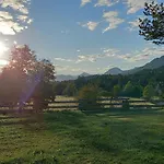 Dingdong * Unteraichwald