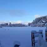 Dingdong Unteraichwald