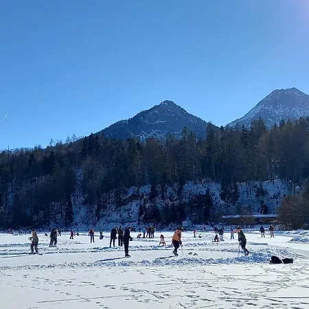 Dingdong * Unteraichwald