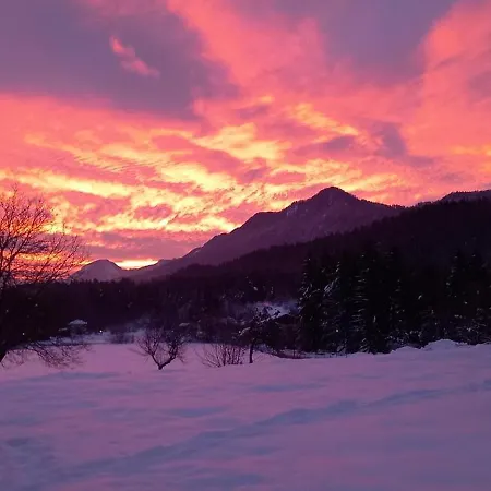 Dingdong Unteraichwald