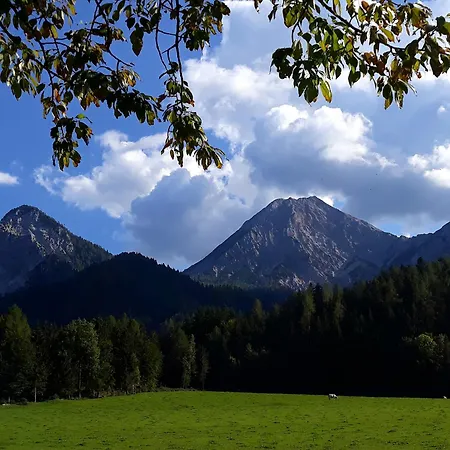 Dingdong * Unteraichwald