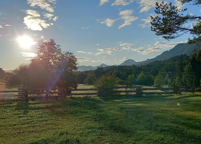 Dingdong * Unteraichwald