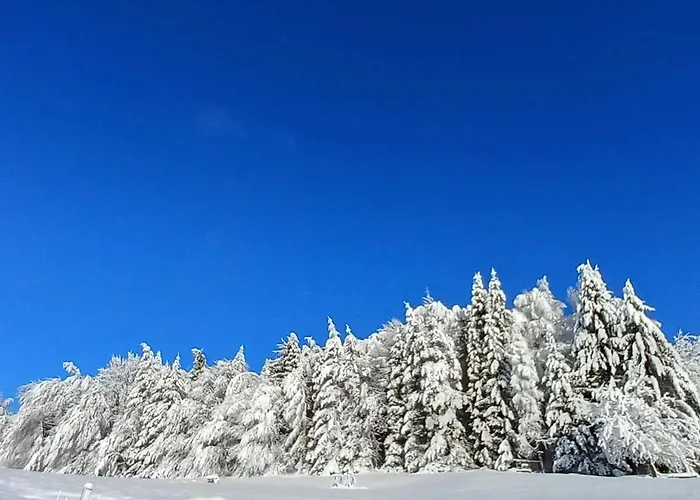 Dingdong Dom wakacyjny *