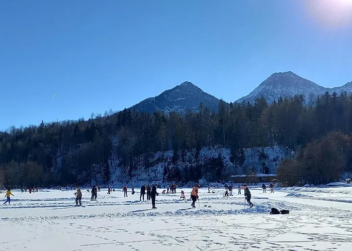 Dingdong * Unteraichwald