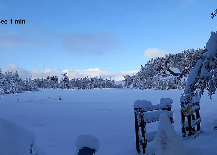 Dingdong Unteraichwald