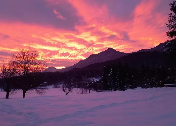 Dingdong Unteraichwald