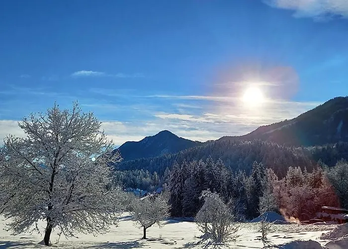 Dingdong Dom wakacyjny