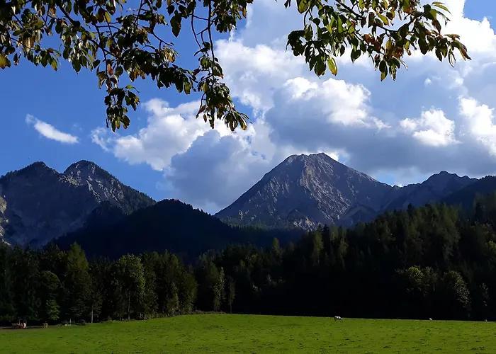 Dingdong * Unteraichwald