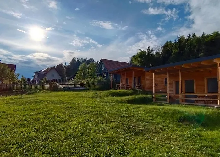 Dingdong Unteraichwald