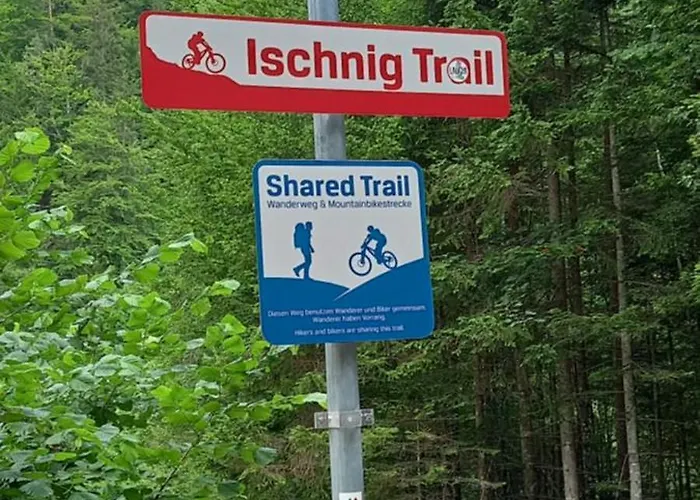 Dingdong Unteraichwald